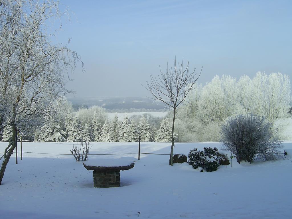 Haus Maria Apartment Olmscheid ห้อง รูปภาพ